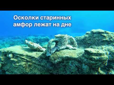 Видео: Фридайвинг в Средиземном море 🌊￼