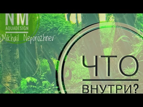 Видео: Конкурсный аквариум. Что внутри?