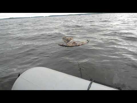 Видео: Водяной якорь парашют для торможения лодки