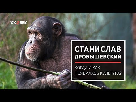 Видео: Станислав Дробышевский: Когда и как появилась культура?