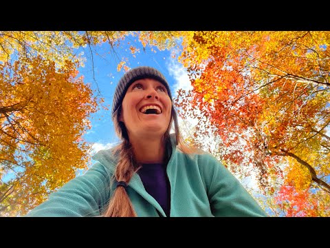 Видео: Осенние краски в ущелье Ред-Ривер: одиночный кемпинг в переоборудованном минивэне