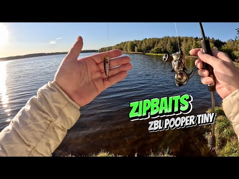 Видео: ZIPBAITS ZBL POPPER TINY РЫБАЛКА НА СПИННИНГ