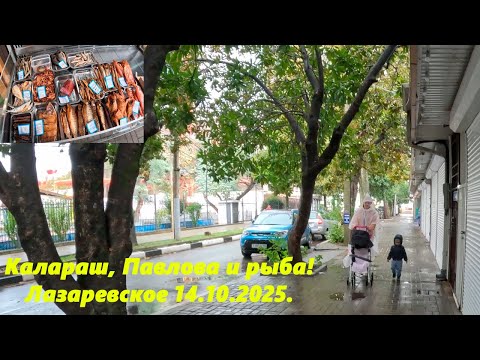 Видео: Калараш, Павлова и рыба! Лазаревское 14.10.2025.