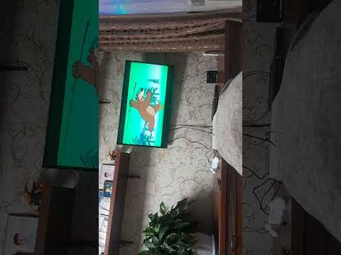 Видео: обзор на диск маша и медведь 22 серий