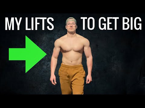 Видео: Вот КАЖДОЕ упражнение в моей программе бодибилдинга!