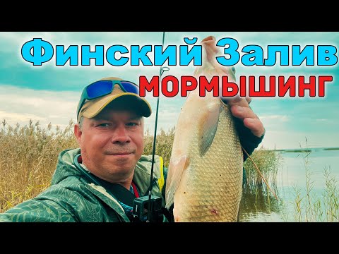 Видео: ЗДОРОВЫЕ ЛЕЩИ, Краснопёрка и другие РЫБЫ!🐠🐟🤫Мормышинг. Финский залив. #мормышинг #nanojig #рыбалка