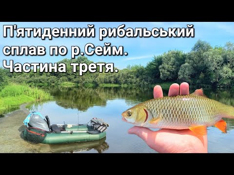Видео: Рибальський сплав по річці Сейм.Частина третя.Липень 2023