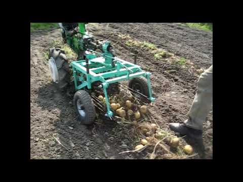 Видео: Копка картошки мотоблоком  Аврора country 1000 с ходоуменьшителем 2018 год.