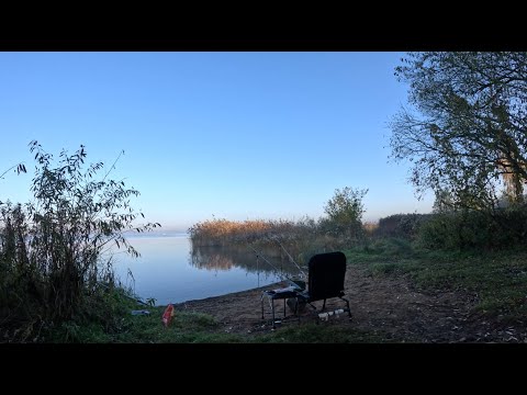 Видео: Фідер в ЖОВТНІ.Вечірня покльовка КАРПА