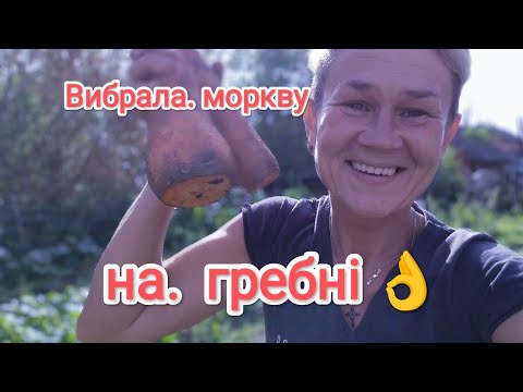 Видео: АНАЛІЗУЮ  посадку. МОРКВИ  на  Гребні/Варто чи ні?☝️