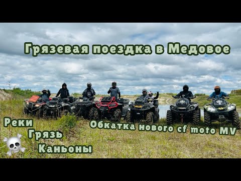 Видео: ВЫЕЗД НА ЮГ ОБЛАСТИ МЕДОВОЕ ГРЯЗЬ