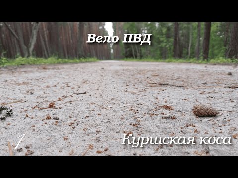 Видео: Велопоход на Куршскую косу