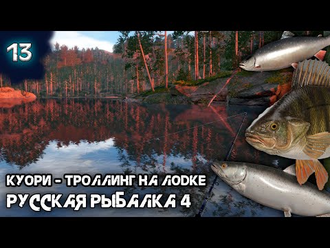 Видео: Русская рыбалка 4 -  Куори троллинг на лодке. Путь новичка [#13]