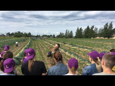 Видео: Огороды отца Харлампия (уникальные съемки)