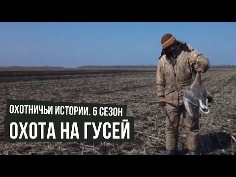 Видео: Охота на гусей \ Охотничьи истории \ #11