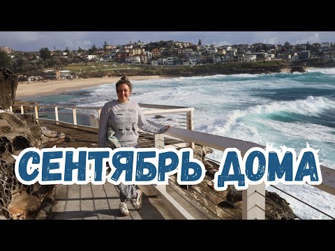 Видео: Сидней влог: прогулки к океану, спорт, друзья, рекомендации киношек, любимые кафе на пляжах... :)