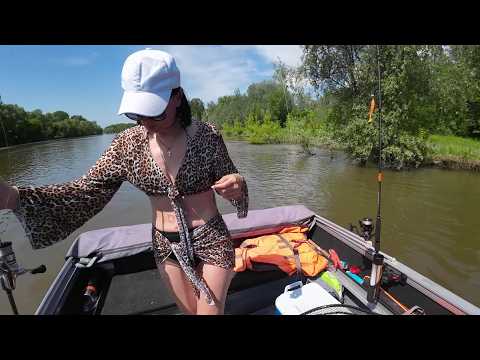 Видео: ПЕРВАЯ РЫБАЛКА С ЖЕНОЙ И СРАЗУ МОНСТР! МЫ НЕ ОЖИДАЛИ! СЕМЕЙНЫЙ ОТДЫХ НА РЕКЕ!