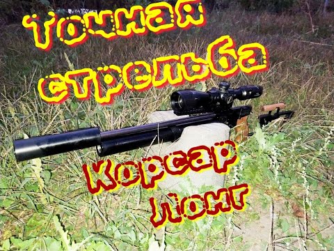 Видео: Корсар Лонг точная стрельба