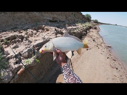 Видео: Рыбалка на сазана в Казахстане город Атырау 2021