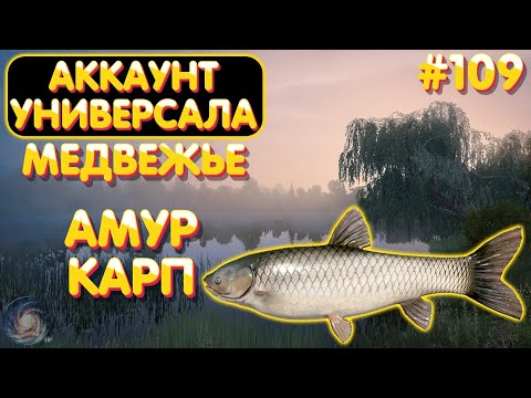 Видео: Аккаунт универсала #109 | Медвежье - Амур и Карп | Русская Рыбалка 4