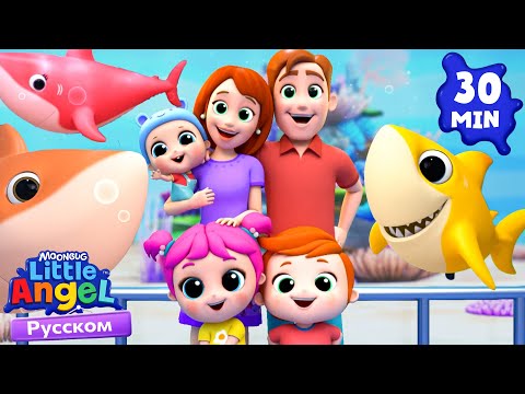Видео: Акуленок! Baby Shark Dance На Русском | Развивающие Мультики Для Детей | Little Angel Русский