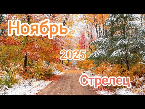 Видео: СТРЕЛЕЦ ♐ НОЯБРЬ 2025🍁 Тароскоп 🍁