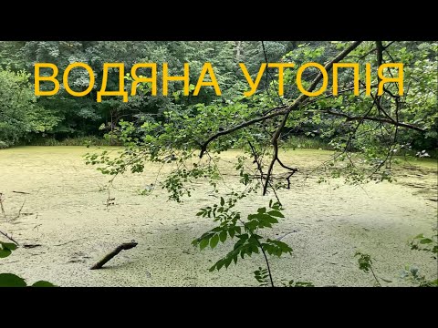 Видео: Чи доцільне зариблення занедбаних озер?