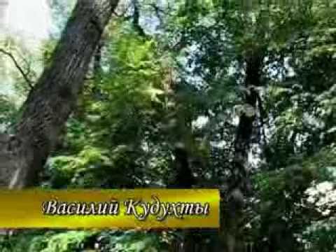 Видео: Василий Кудухти. ФЫДЫ МАСТ