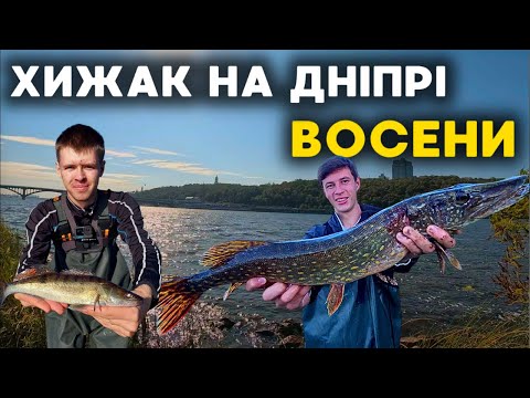 Видео: ОСІННІЙ ДЖИГ В КИЄВІ ДАЄ РЕЗУЛЬТАТ! Що можна зловити в столиці восени?