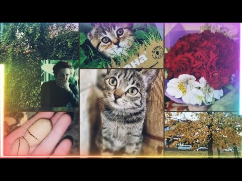 Видео: СРОЧНО НУЖЕН ВАШ СОВЕТ😮 🩵КОРОТКИЙ ВЛОГ 💚