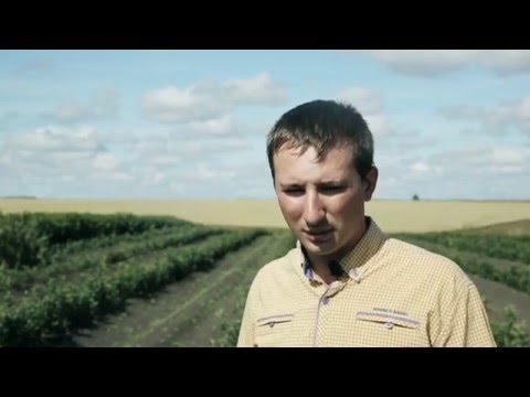 Видео: Питомник "Школьный сад"