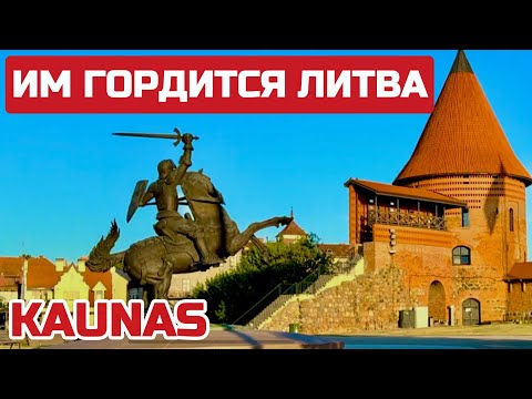 Видео: Каунас.Что заставляет людей выйти на улицу? Последние актуальные новости из Литвы #kaunas #lietuva