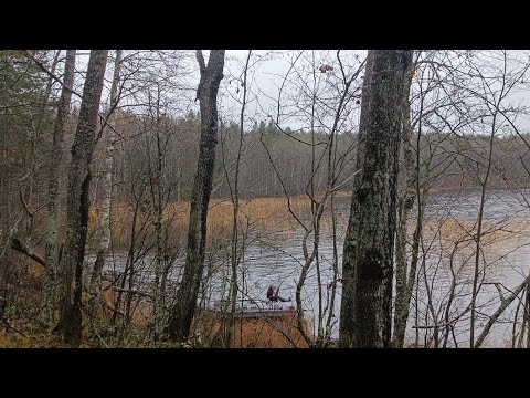 Видео: Прокатились до острова и подышали свежим воздухом