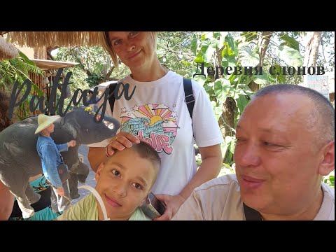 Видео: деревня слонов в Паттайе. супер шоу, но поборы за все, небольшой зоопарк. Все очень дёшево.
