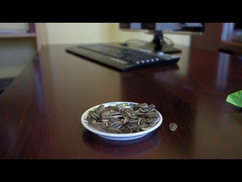Видео: ASMR: Sunflower seeds eating: Семечки [HROOM-HROOM]