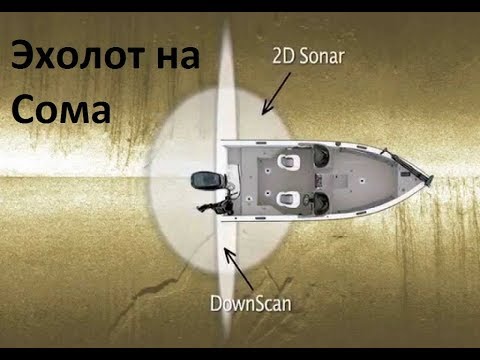 Видео: Эхолот на сома.