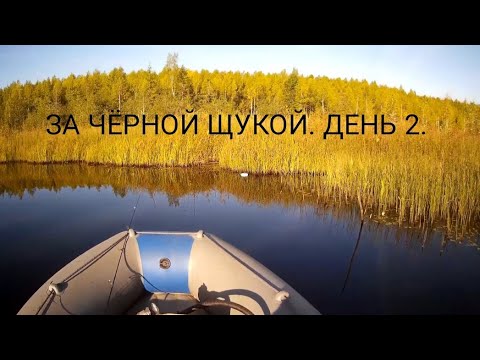 Видео: НА ЖИВЦА. Рыбалка в СЕНТЯБРЕ.#111