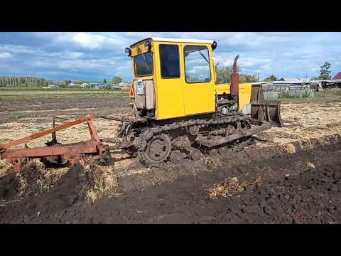 Видео: Трактор т 54. Пахота