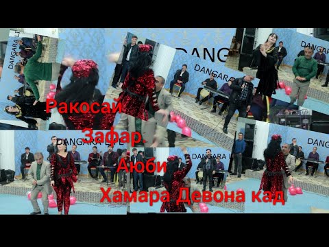 Видео: Зафар Аюби кати ракосаш туйя девона кард
