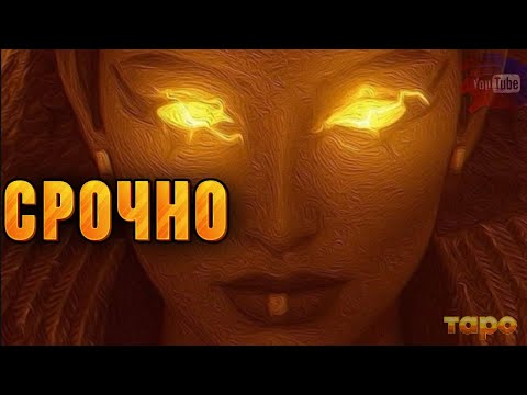 Видео: ‼️❤️‍🔥С.Р.О.Ч.Н.О.Е❤️‍🔥‼️