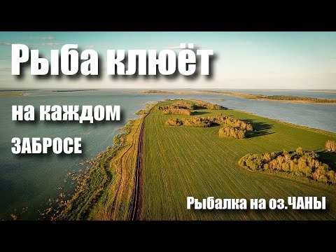 Видео: ОЗЕРО ЧАНЫ / РЫБАЛКА НА ПОПЛАВОК.