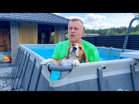 Видео: БАССЕЙН ПРОТИВ ЩЕНКА. ШЕРЛОК И ПЛАВАНИЕ. БРОС ШОУ ПЕТ