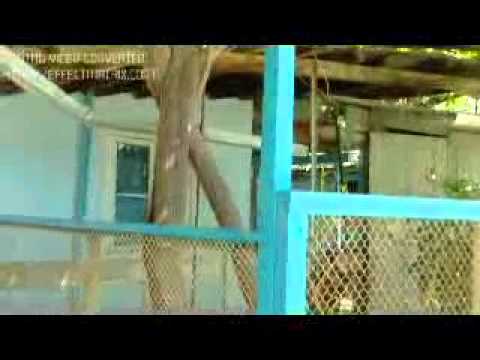 Видео: Вахш 2010