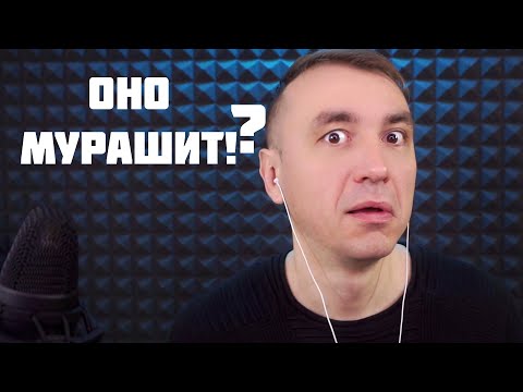 Видео: ПРИТВОРИЛСЯ НОВИЧКОМ В АСМР
