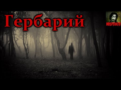 Видео: Гербарий - Сборник страшных историй. Часть 3. Страшные истории на ночь. Страшилки на ночь