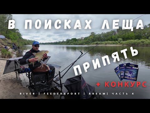 Видео: В поисках леща.  Река Припять. Часть 4. Конкурс.
