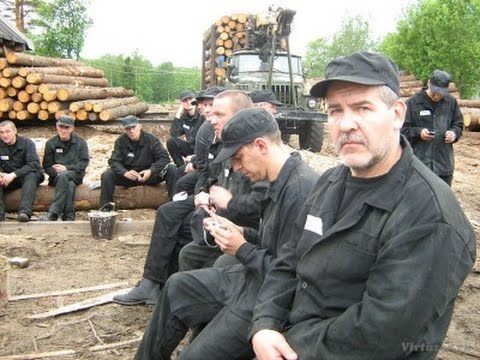 Видео: Кто не садится в тюрьму во второй раз