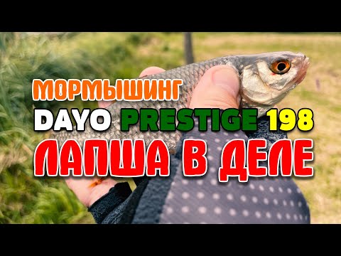 Видео: СПИННИНГ для мормышинга DAYO Prestige 198 | Достал из чулана и обрыбил 🤗👌😉#мормышинг #nanojig