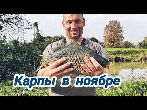 Видео: Новые места- новая рыба!!