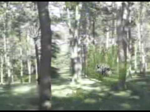 Видео: Ленинский совхоз встреча в Германии 2008 год  часть 1